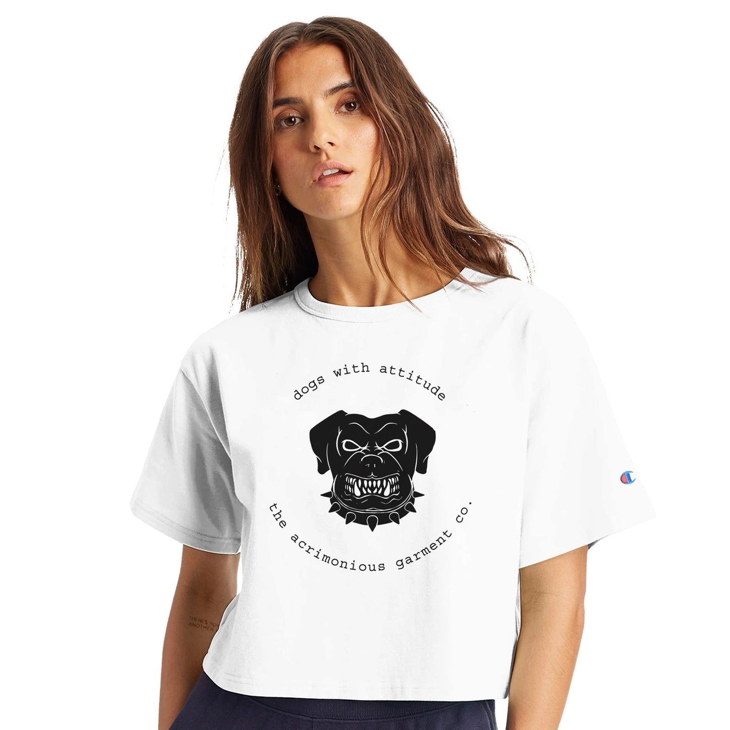 6ce20335-01b2-4296-8898-270d724548fa